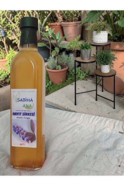 SabihaAna Sabiha Ana Ev Yapımı Hayıt Sirkesi