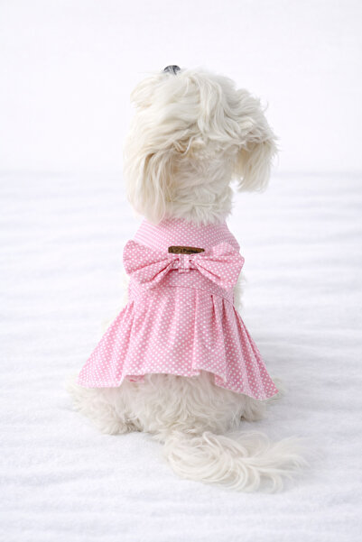 PATİLİNKA Kedi - Köpek Yazlık %100 Pamuklu Poplin Elbise - Kıyafet - Tişört