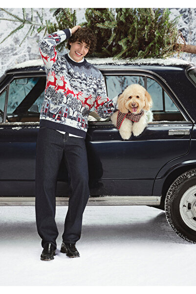 Mavi Geyik Jacquard-Pullover in Marineblau, normale Passform 0710407-70490