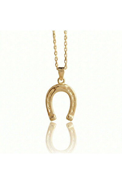 Ashak Accessories Kadın 925 Ayar Gümüş Zincirli At Nalı Şans Nal Light Altın ...