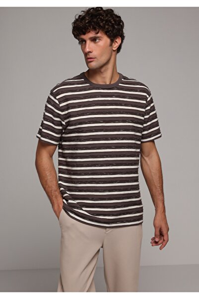 Colin's Udobna majica sa okruglim izrezom Prugasto muška smeđa majica kratkih...