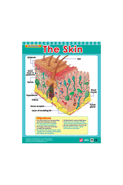 123Publishing House الجلد - لوحة جدارية باللغة الإنجليزية