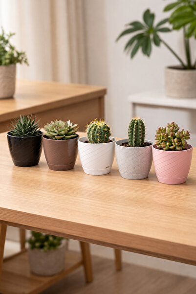 Binbirreyon 5 Adet Saksı Seti Parlak Saksı Sukulent Kaktüs Saksısı 9cm AH165