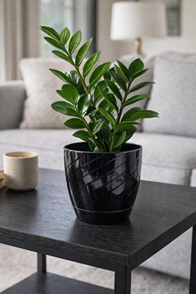 Binbirreyon Parlak Saksı 14x13cm Renkli Desenli Saksı 1 Adet AH167