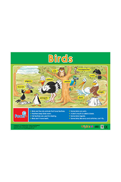 123Publishing House الطيور - لوحة جدارية باللغة الإنجليزية