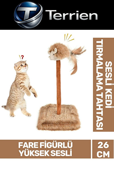 #KediOyuncağı Tırnak Törpüleme 14x14cm En 26cm Yükseklik Sesli Oyuncaklı Kedi Tırmalama Tahtası