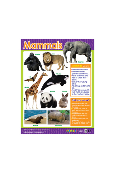 123Publishing House الثدييات - لوحة جدارية باللغة الإنجليزية