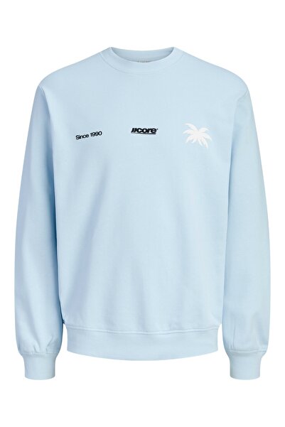 Jack & Jones Junior Pullover CLUB SUMMER Sweatshirt