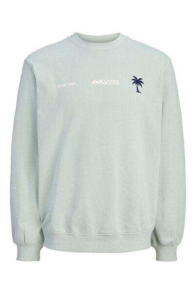 Jack & Jones Junior Pullover CLUB SUMMER Sweatshirt