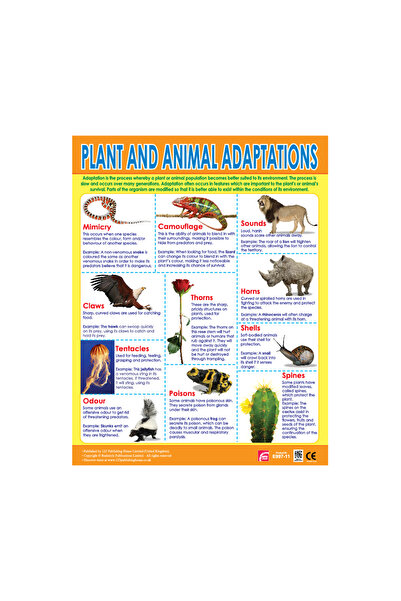 123Publishing House تكيفات النباتات والحيوانات - لوحة جدارية باللغة الإنجليزية