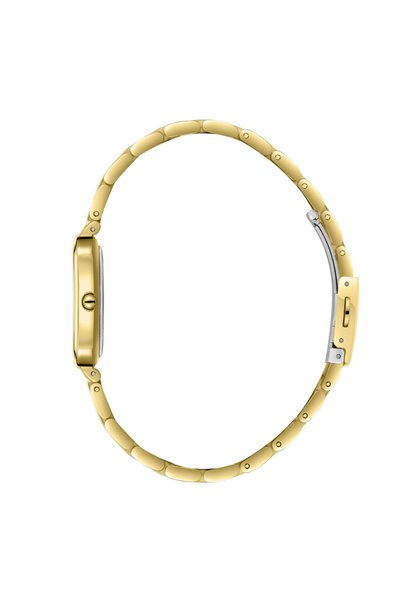 Slazenger Sl.09.2549.3.02 Women Wrist Watch