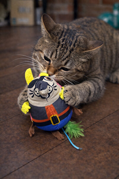 mastercat Matatabili Pusu Cat Toy