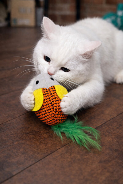 mastercat Matatabili Fluffy Fang Cat Mouse