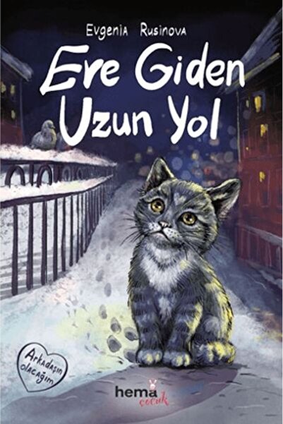 Derin Yayınları Long Road Home