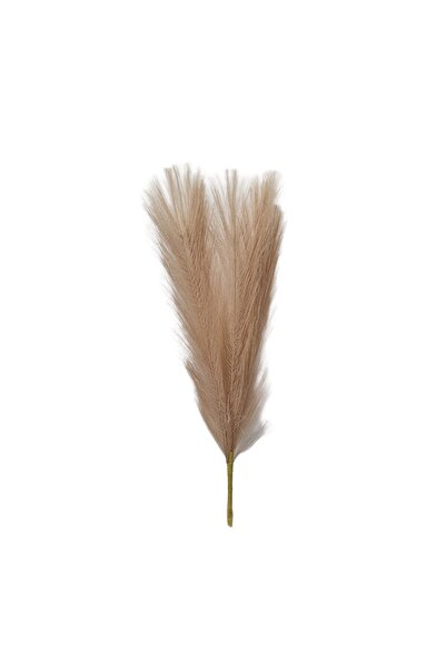 decotoys Creanga de pampas 75cm crem