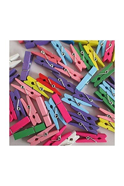 Saatistan Πολύχρωμα 100 τεμάχια μίνι ξύλινα μανταλάκια, όμορφη εναλλακτική λύ...