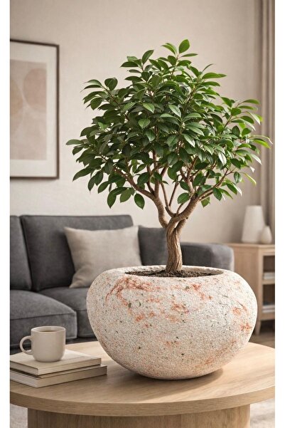 Aslan Japandi 2.0 tarzı vazo 22x33