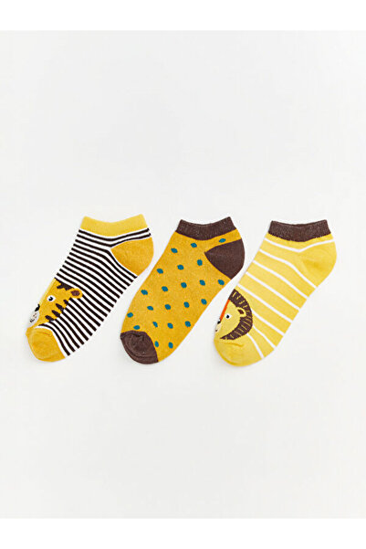 LC Waikiki Rmz Gi̇yi̇m Farkiyla Embroidered Boys' Booties Socks 3-Piece Set