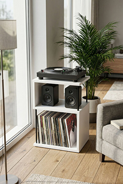 DEQQU Es 45x35x63cm Pikap Sehpası, Plak Düzenleyici, Plak Rafı, Dekoratif Yan...