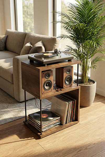 DEQQU Es 45x35x63cm Pikap Sehpası, Plak Düzenleyici, Plak Rafı, Dekoratif Yan...