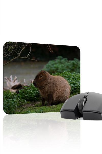 mousepad bastir Mousepad de gaming din cauciuc cusut Capybara antialunecare V...