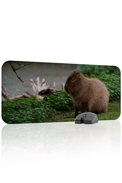 mousepad bastir Mousepad pentru jocuri Capybara antialunecare din cauciuc cus...