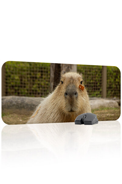 mousepad bastir Mousepad de gaming din cauciuc cusut Capybara antialunecare V...
