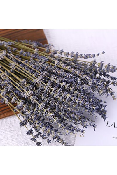 Dekora Çiçek باقة لافندر طبيعية عالية الجودة مقاومة للانسكاب 100 جرام