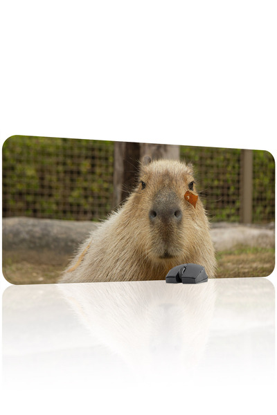 mousepad bastir Mousepad de gaming din cauciuc cusut Capybara antialunecare V...