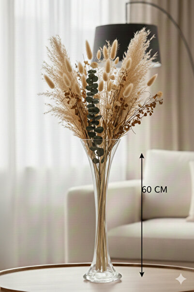 CANBOTANİK 60 cm Vazo Şeffaf Fil Ayağı Dekoratif Cam Vazo şık ve modern tasarım