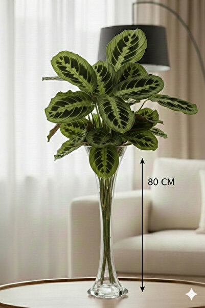 CANBOTANİK 80 Cm Vazo Şık ve Modern Tasarım Uzun Fil Ayağı Cam Vazo