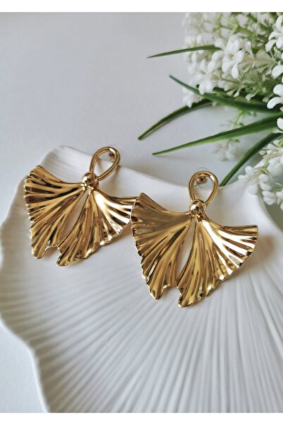 Halley Concept أقراط فان جولدن الفولاذية