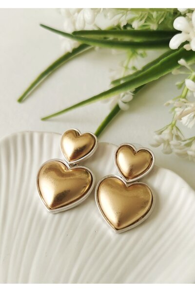 Halley Concept Double heart steel earrings
