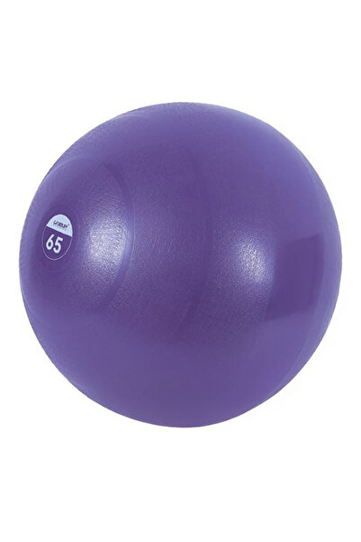 OEM Fitness Gym Ball 65 cm Purple for Yoga, Pilates and Home Exercises