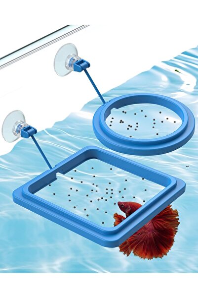 Arabest قطعتان من حلقات تغذية أسماك الزينة - حلقات تغذية عائمة دائرية ومربعة ...