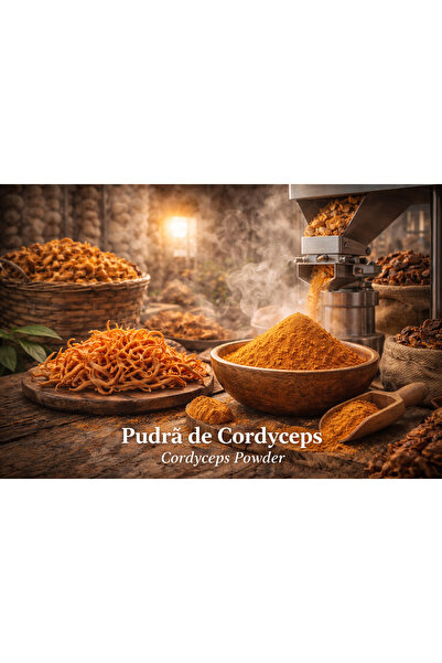 AsianRoots 🌿 Cordyceps Mushroom Powder 100g