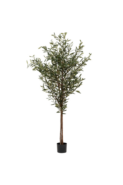 Atmosphera Créateur D'intérieur Atmosphera Decorative Olive Tree Artificial P...