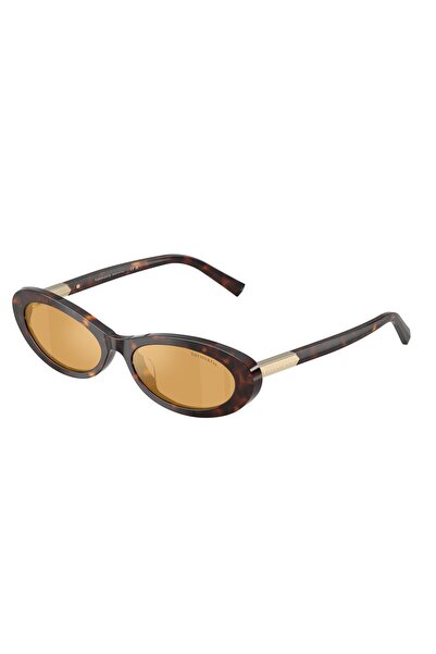 Tiffany TF4250 8015/74 Kadın Güneş Gözlüğü