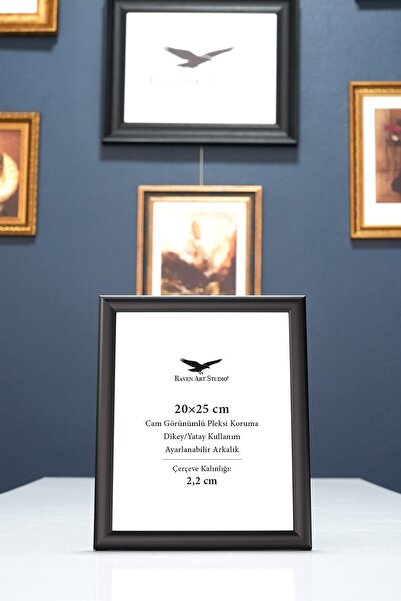 Raven Art Studio Pergamon 20X25 cm Black Gold Picture Photo Document Poster D...