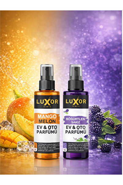 Luxor Kimya Oto Parfümü Mango Kavun & Böğürtlen Sakız 100 ML | Oto Kokusu | A...