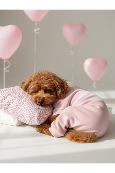 Kemique طقم نوم للكلاب باللون الوردي من ميني ميني هارتس |   قطن قطعة من بدلة ...