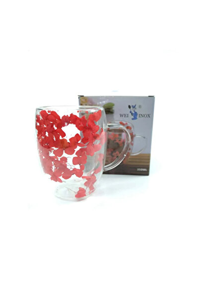 OEM Decorative Double Wall Glass Coffee Mug 350 ml