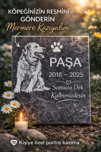 Digital Hayat Kişiye Özel Pet Mezar Taşı – Kedi Köpek Lazer Kazıma Granit Anı...