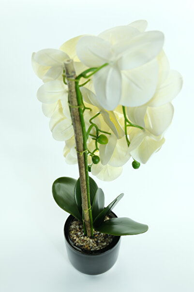 OEM Artificial orchid in a pot