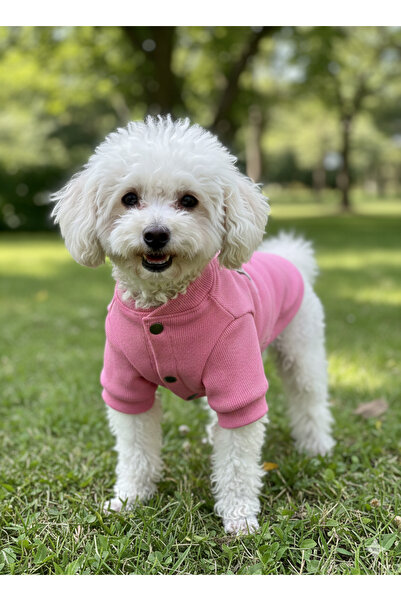 PATİLİNKA Kedi - Köpek Kaşkorse Esnek Mevsimlik Ceket - Mont - Yağmurluk - Ye...