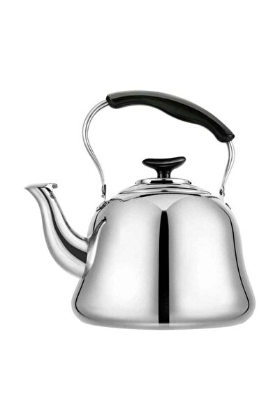 HTH إبريق شاي من الفولاذ المقاوم للصدأ، فضي/أسود، سعة 2 لتر