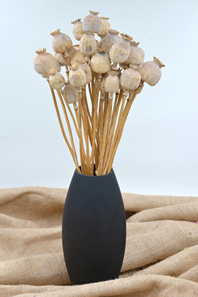 moontime alaçatı Kurutulmuş Haşhaş Kozası 10 Dal, Doğal ve Tazelik Dolu Ürün