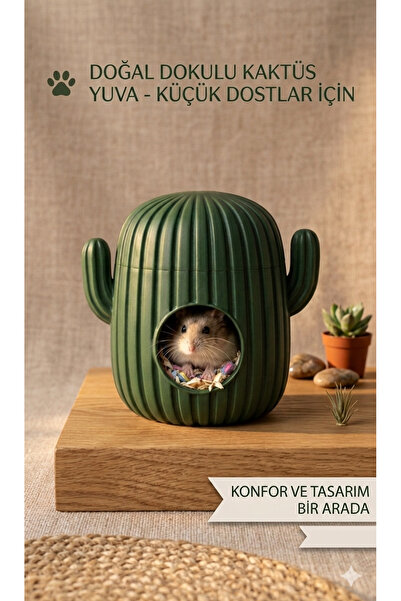 goldentre Kaktüs Tasarım Hamster Evi – Konforlu Kemirgen Yuvası | Dekoratif K...