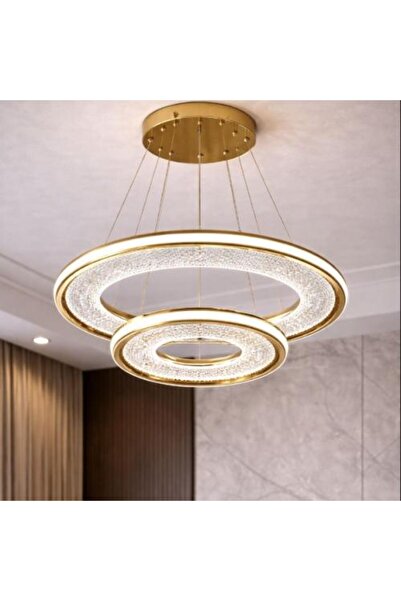 genric Modern Golden LED Ring Light - 3 Color Changing