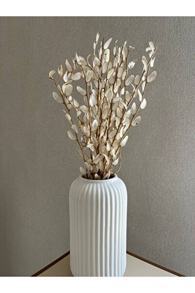 moontime alaçatı Şoklanmış Kuru Çiçek, Doğal ve Kaliteli Dekoratif Bitki